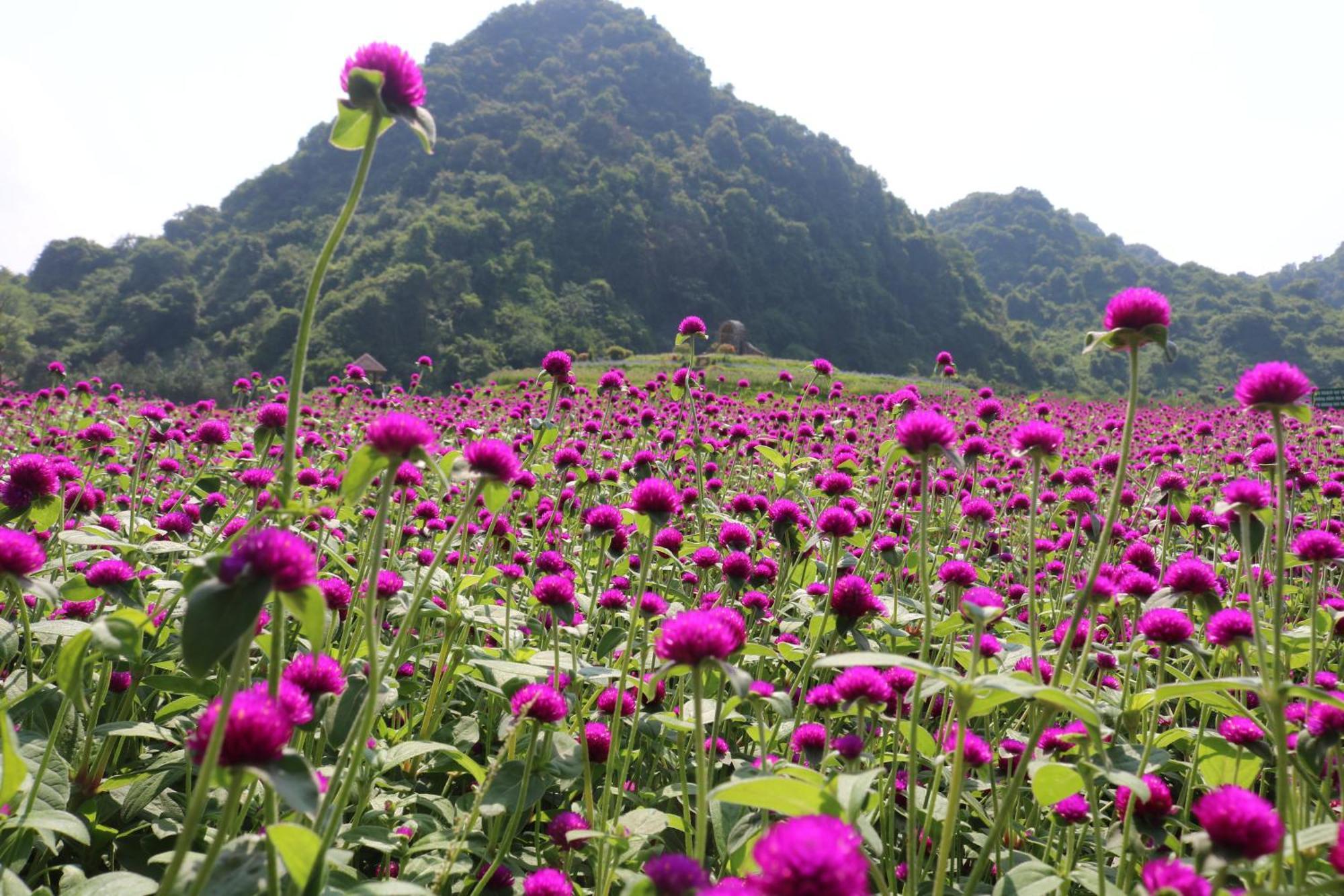 Thung Nham Resort Ninh Bình Kültér fotó