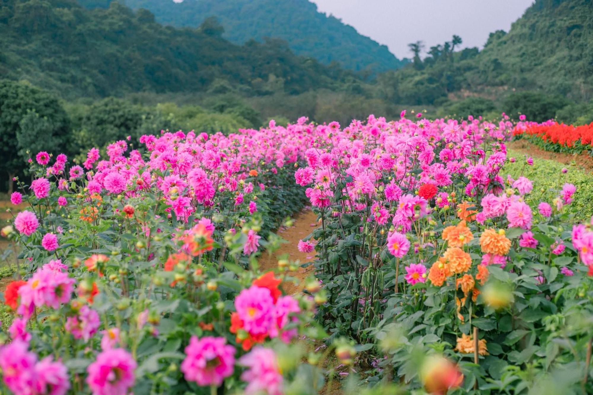 Thung Nham Resort Ninh Bình Kültér fotó