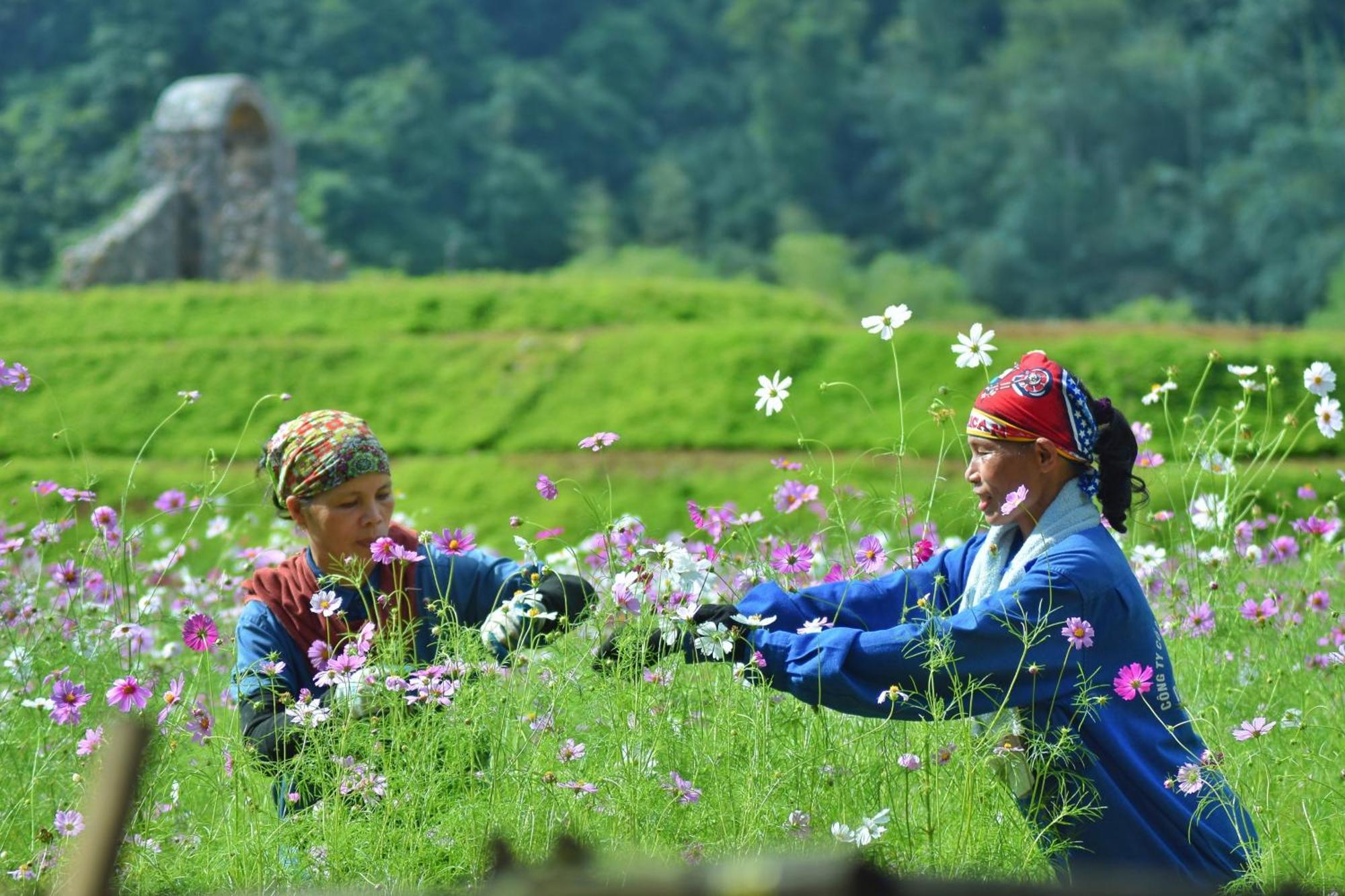 Thung Nham Resort Ninh Bình Kültér fotó
