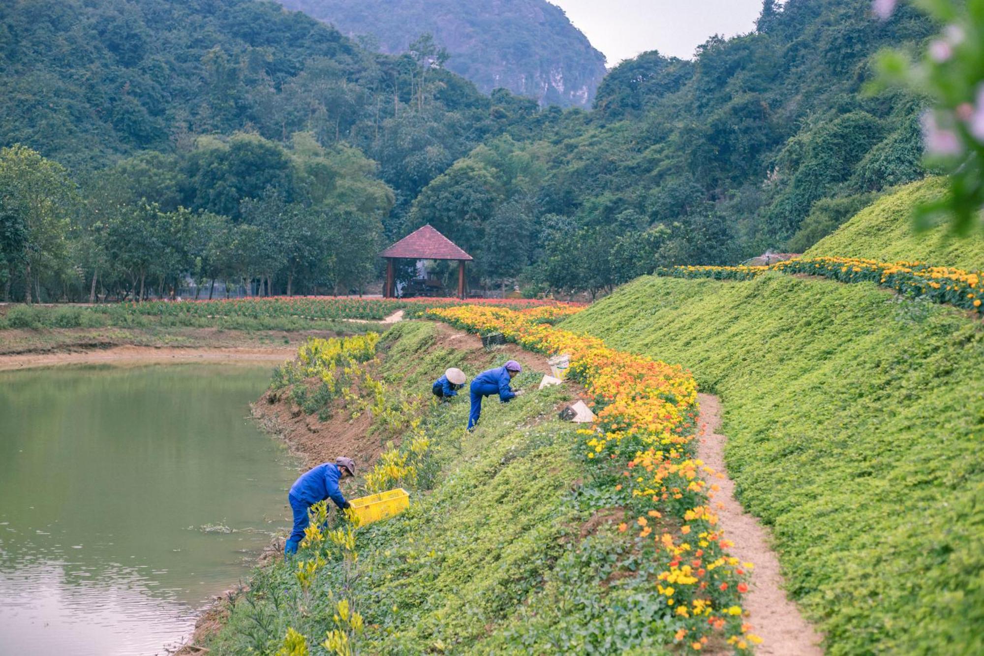 Thung Nham Resort Ninh Bình Kültér fotó