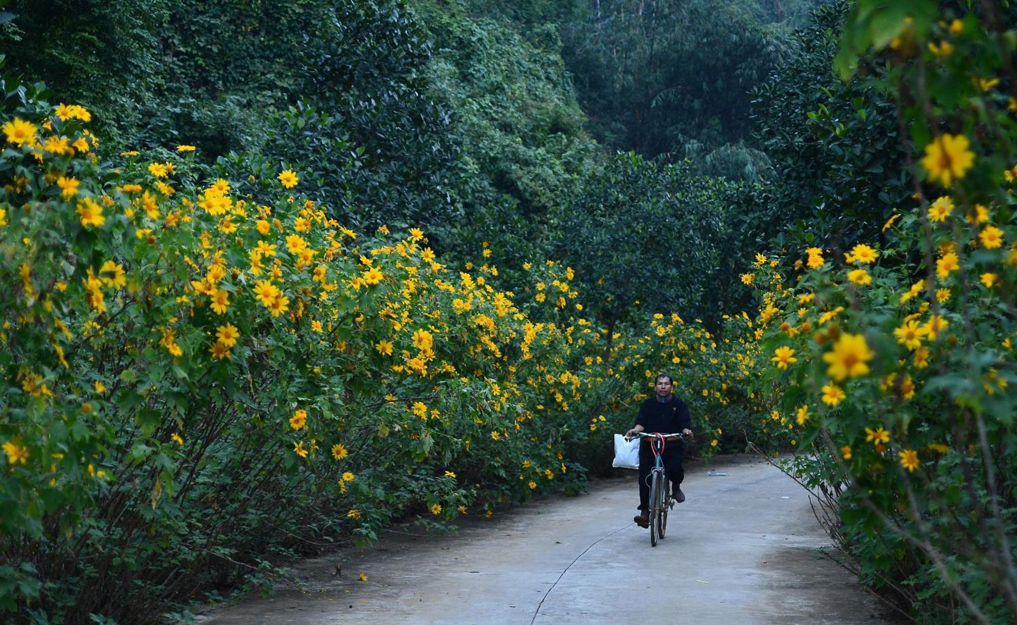 Thung Nham Resort Ninh Bình Kültér fotó