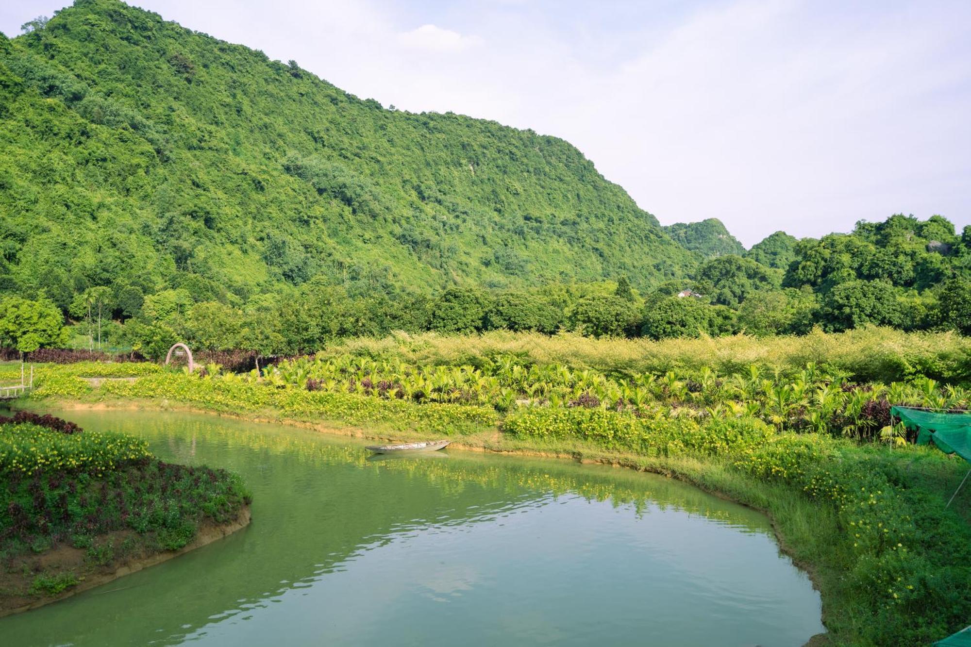 Thung Nham Resort Ninh Bình Kültér fotó